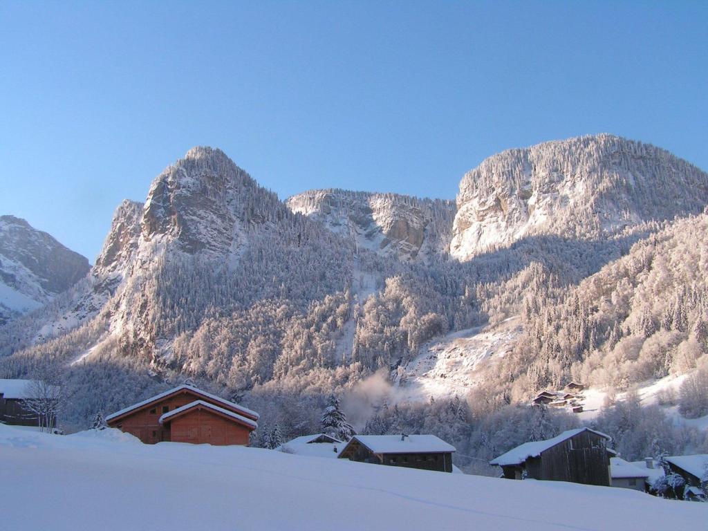 Chalet Narcisse Sixt Habitación foto